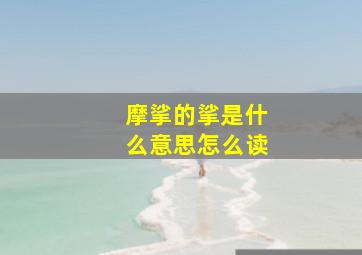 摩挲的挲是什么意思怎么读