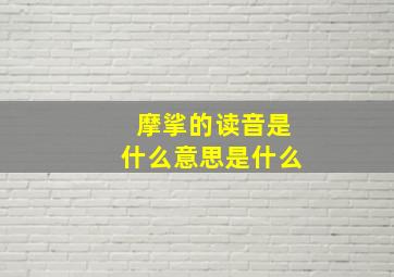 摩挲的读音是什么意思是什么