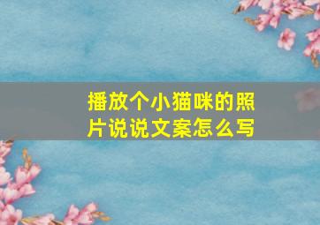 播放个小猫咪的照片说说文案怎么写