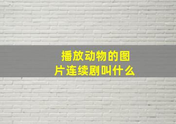 播放动物的图片连续剧叫什么