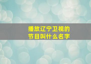 播放辽宁卫视的节目叫什么名字