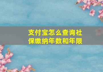 支付宝怎么查询社保缴纳年数和年限