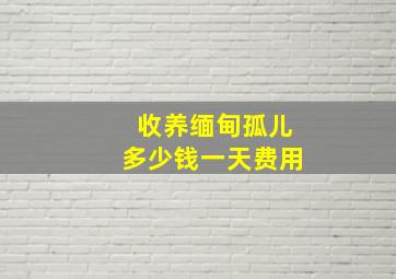 收养缅甸孤儿多少钱一天费用