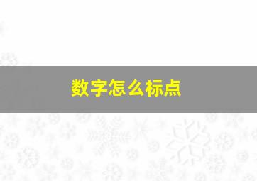 数字怎么标点