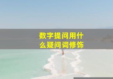 数字提问用什么疑问词修饰