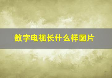 数字电视长什么样图片