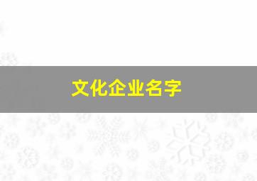 文化企业名字