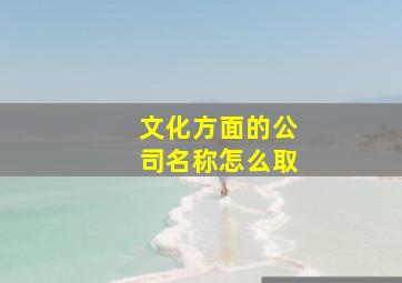 文化方面的公司名称怎么取