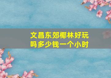 文昌东郊椰林好玩吗多少钱一个小时