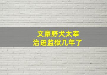 文豪野犬太宰治进监狱几年了