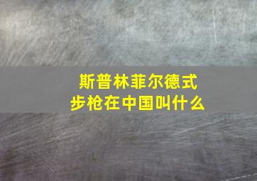 斯普林菲尔德式步枪在中国叫什么