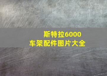 斯特拉6000车架配件图片大全