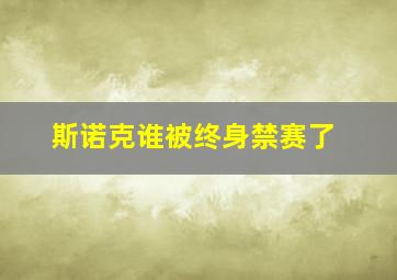 斯诺克谁被终身禁赛了