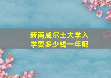 新南威尔士大学入学要多少钱一年呢