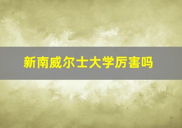 新南威尔士大学厉害吗