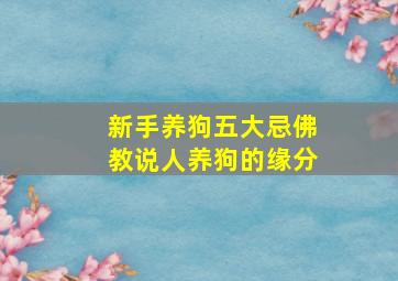 新手养狗五大忌佛教说人养狗的缘分