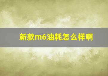 新款m6油耗怎么样啊