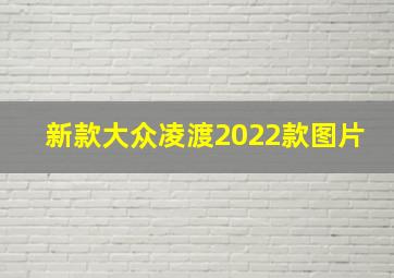 新款大众凌渡2022款图片