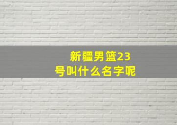 新疆男篮23号叫什么名字呢