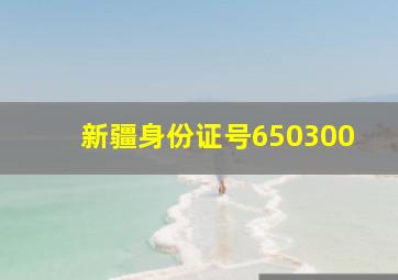 新疆身份证号650300