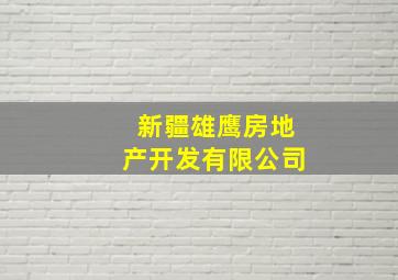 新疆雄鹰房地产开发有限公司