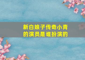 新白娘子传奇小青的演员是谁扮演的