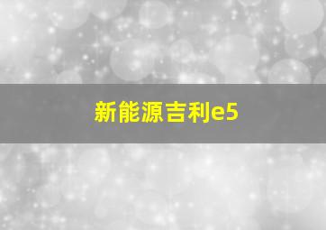 新能源吉利e5