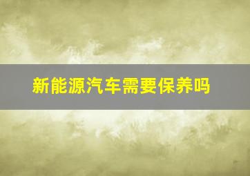 新能源汽车需要保养吗