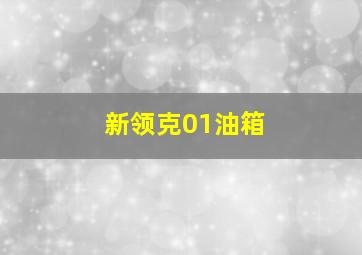 新领克01油箱