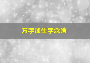 方字加生字念啥