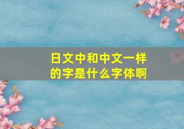 日文中和中文一样的字是什么字体啊