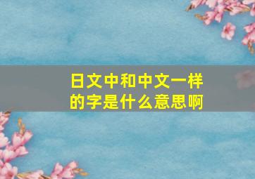 日文中和中文一样的字是什么意思啊