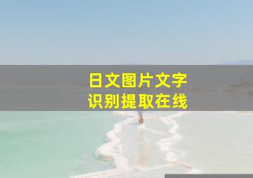 日文图片文字识别提取在线