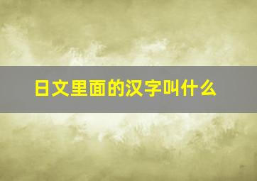 日文里面的汉字叫什么