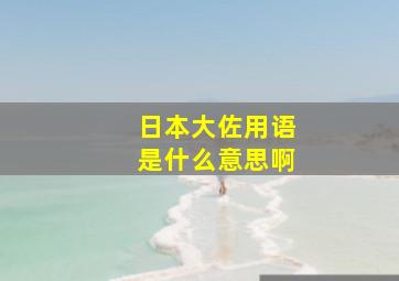 日本大佐用语是什么意思啊