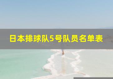 日本排球队5号队员名单表