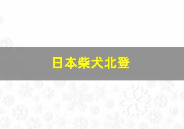 日本柴犬北登