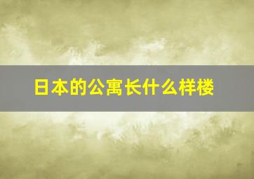 日本的公寓长什么样楼