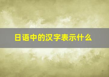 日语中的汉字表示什么