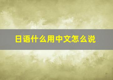 日语什么用中文怎么说