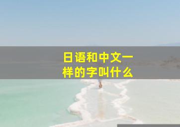 日语和中文一样的字叫什么