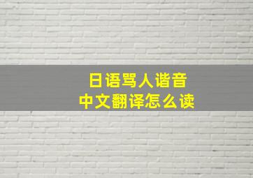 日语骂人谐音中文翻译怎么读