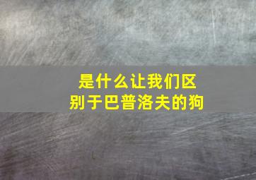 是什么让我们区别于巴普洛夫的狗