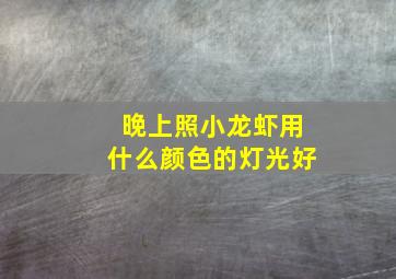 晚上照小龙虾用什么颜色的灯光好