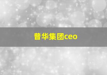 普华集团ceo