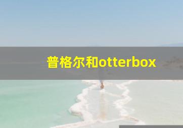 普格尔和otterbox