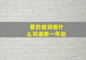 普的组词组什么词语呢一年级