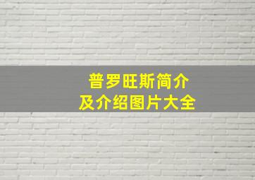 普罗旺斯简介及介绍图片大全