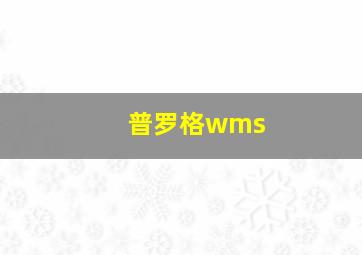 普罗格wms