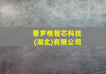 普罗格智芯科技(湖北)有限公司